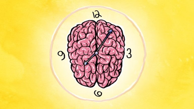 Brain clock